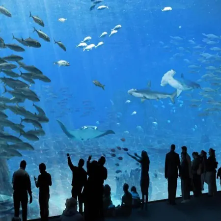 Vue Dégagée #2 Appartement *